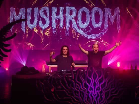 Infected Mushroom